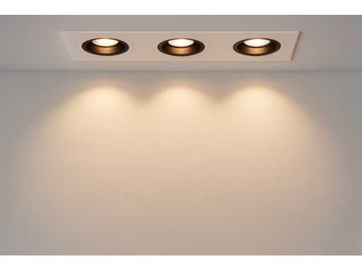 Projecteur encastré réglable (EP-3) – Douille GU10 – Blanc/Noir (x20)