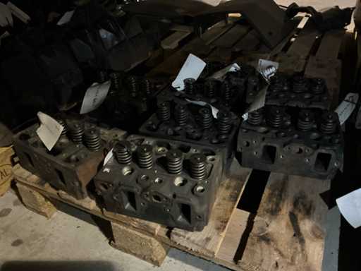 Man Cilinderkop D08 (8x)