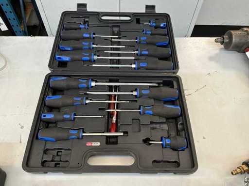 Set di cacciavite KS