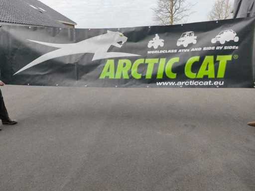 Chat arctique à bannière