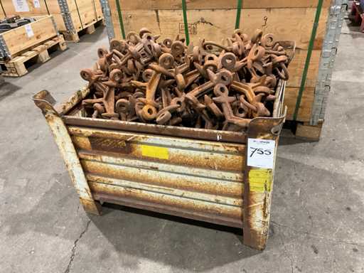 Eine Gruppe von Mähenpfadzähnen