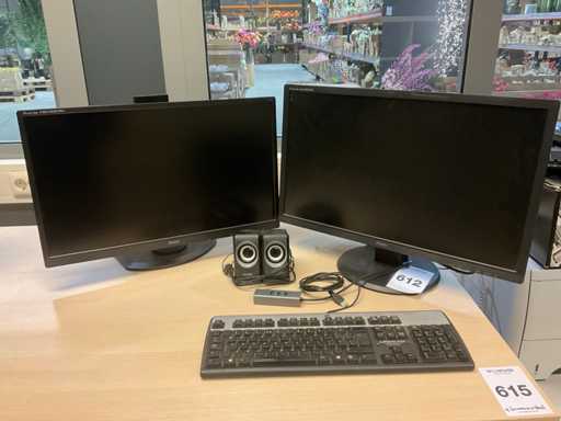 Monitor IIyama Prolite E2483hs (2x)
