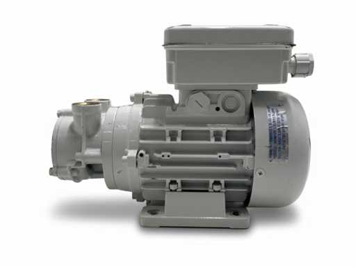 Gianneschi ACB 61g Pompe liquide en bronze auto-aspirante 230V