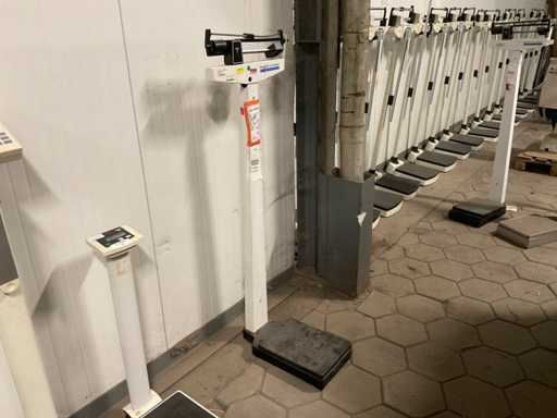 Échelle personnelle de la O-mètre Santé