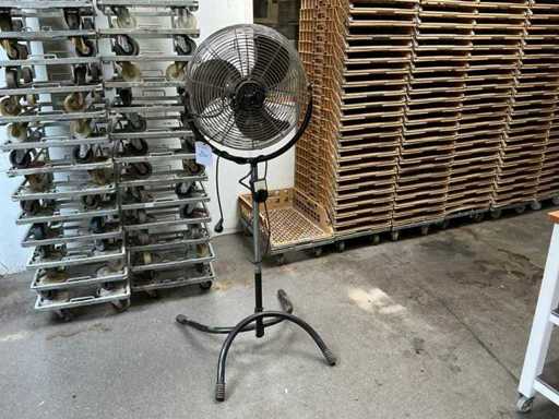 Fan di Besli in tribuna