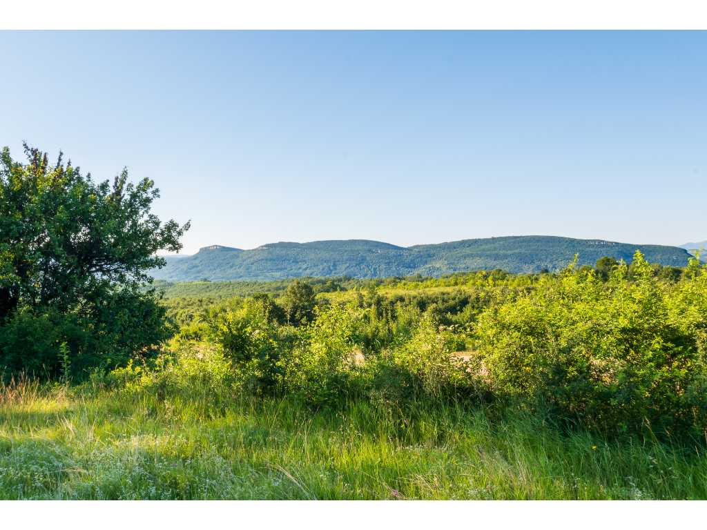 8,398 m2 of forest land in Gabrovo - Bulgaria