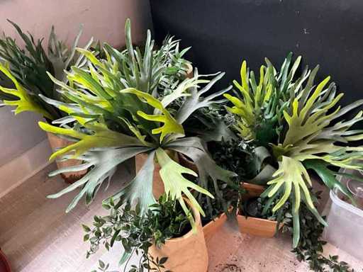 Diverse Kunstplanten (12x)