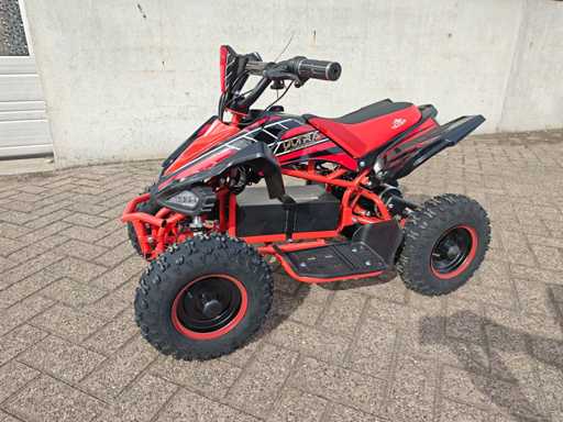 mini Quad electrisch 800 watt