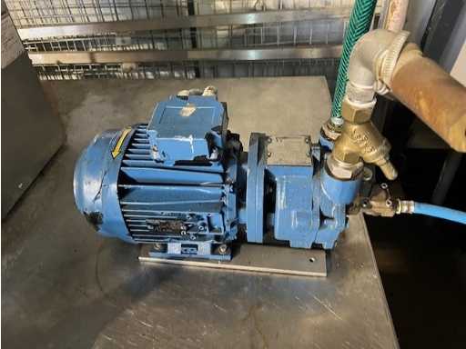 Pompe a vuoto Lema 25AZ