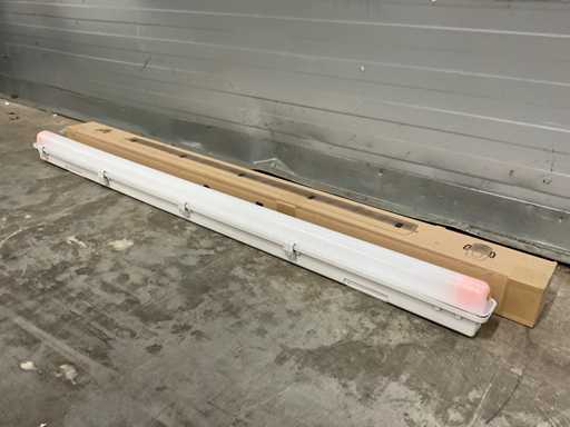 Norton AXP-E Apparecchio LED (10x)