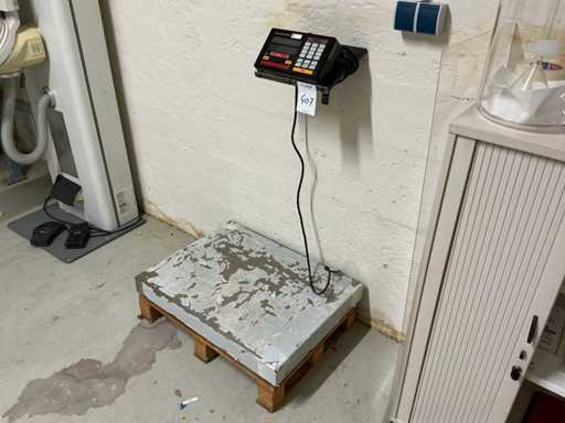 Sartorius F300S Platform scale