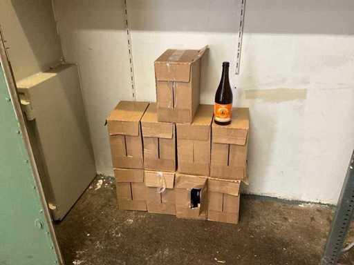Ipa bier (54x)