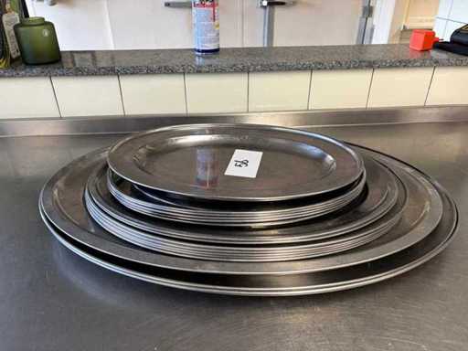 Stainless Steel Trays (17x)