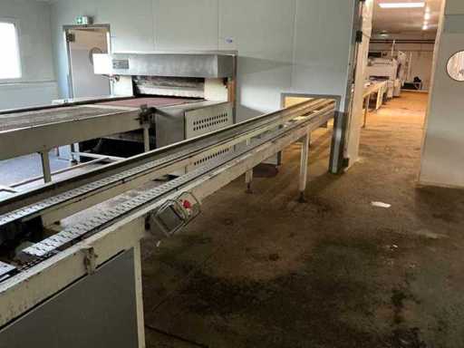 Chain conveyor for mould output