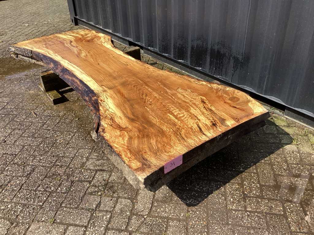 Faggio (2x) foglia di tronco d'albero 