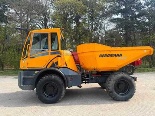 Bergmann - 2015 - 3009R - Kipper