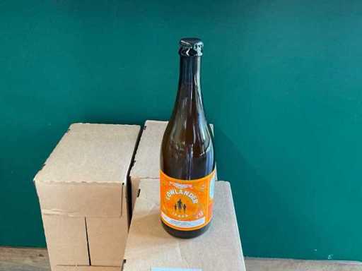 Botanicals I.P.A.P.A. Fles bier (42x)