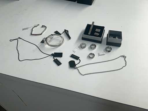 Bruce Partij sieraden