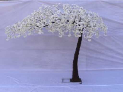 Artificial Sakura boom