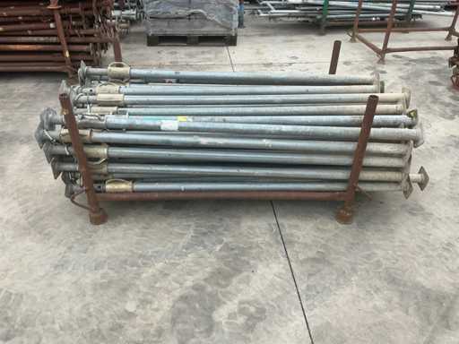 Schoren cadet (stippen) (49x)