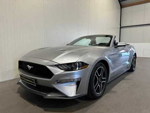 Ford Mustang 2.3 L Ecoboost – niemieckie rejestracje rejestracyjne