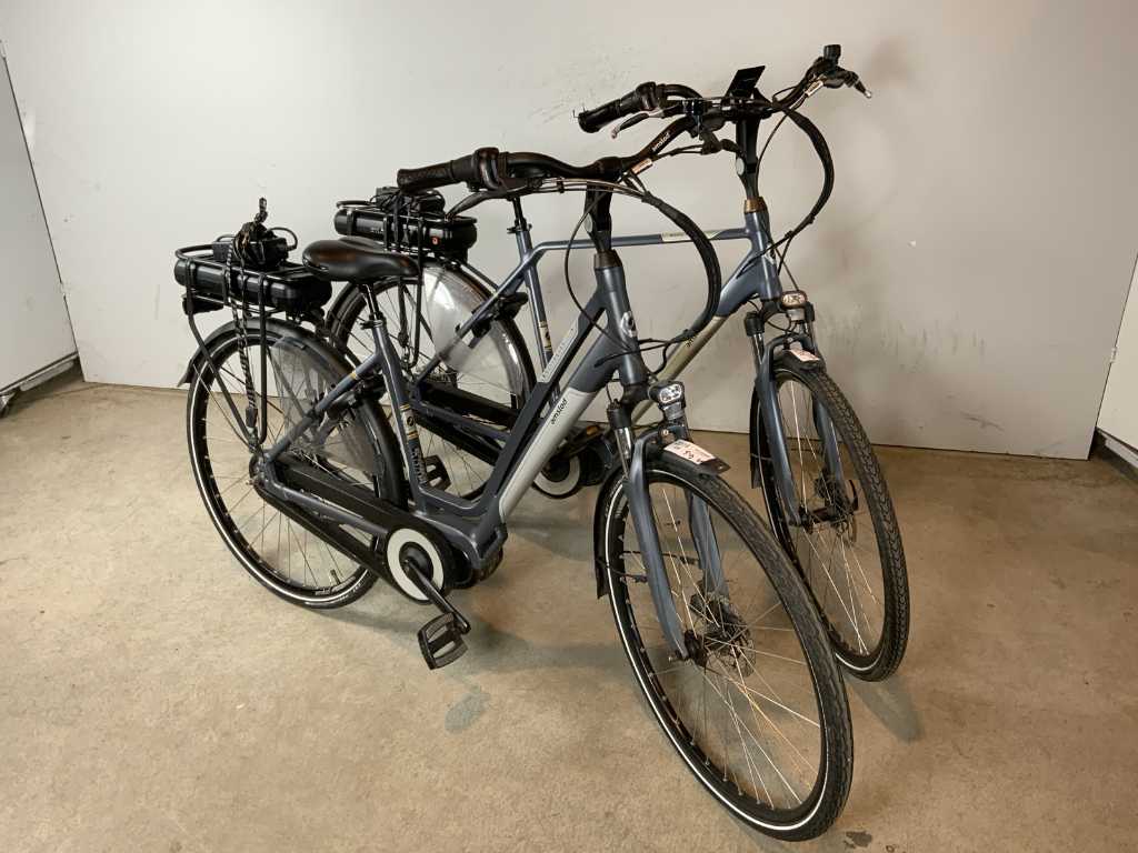 Amslod Wellington MTX/Hilston LX Elektrische fiets (2x)