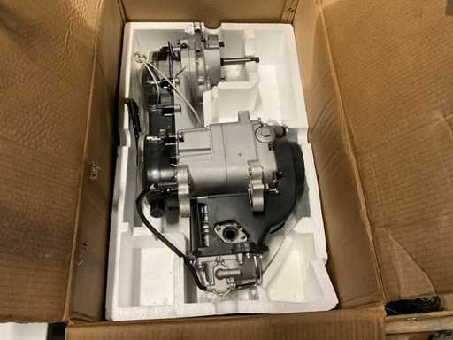 AGM 139QMB Scooter motor