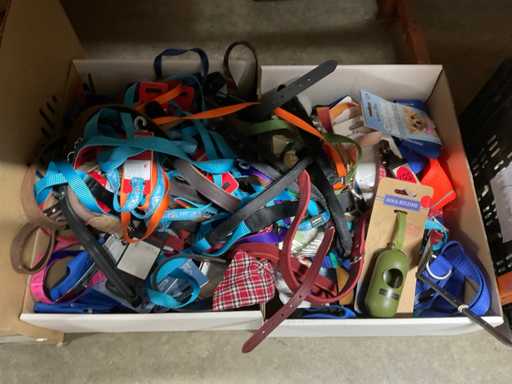 Charge von Tiergeschirren