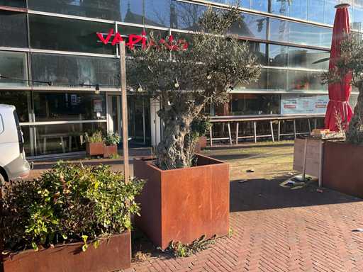 Metalen Plantenbak met boom