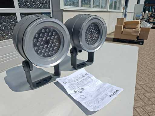 2x Philips - Decoflood - BVP626 - Outdoor lighting