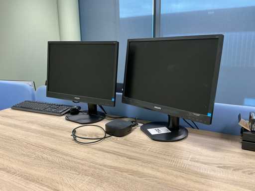 Philips/Dell P2421hn / 220s plus Monitor