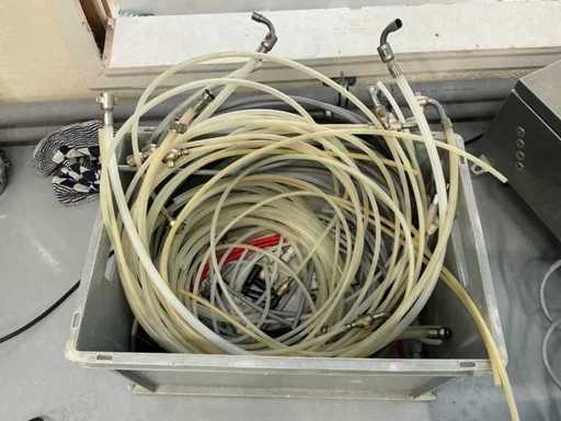 Party der Bierschlangen