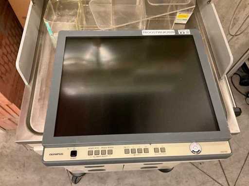 Moniteur Olympus OEV191