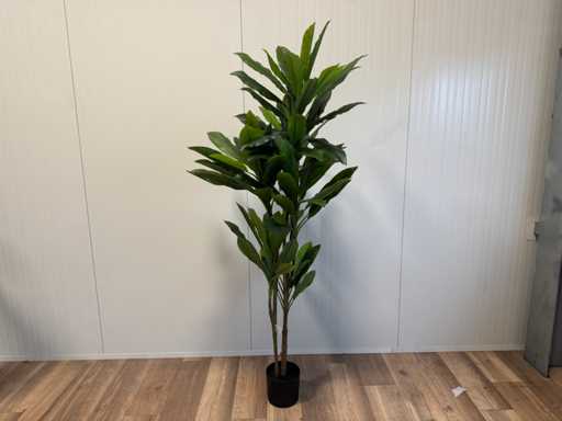 Real touch Green dracaena Sztuczna roślina (200 cm wysokości)