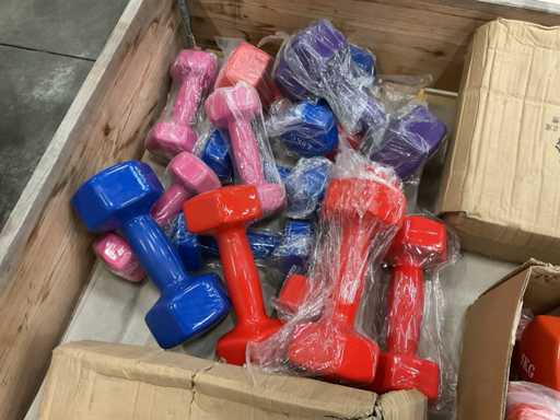 Un sacco di manubri, 13 pezzi