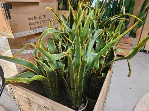 Plante artificielle 8x yucca