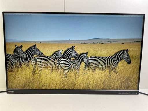 Lenovo (P32P-20) 32", 3840x2160 (UHD) IPS-Monitor