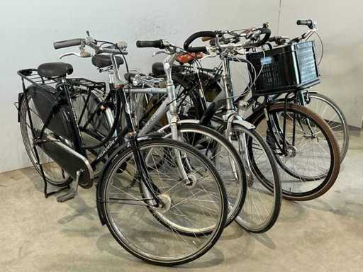 Fiets (5x)