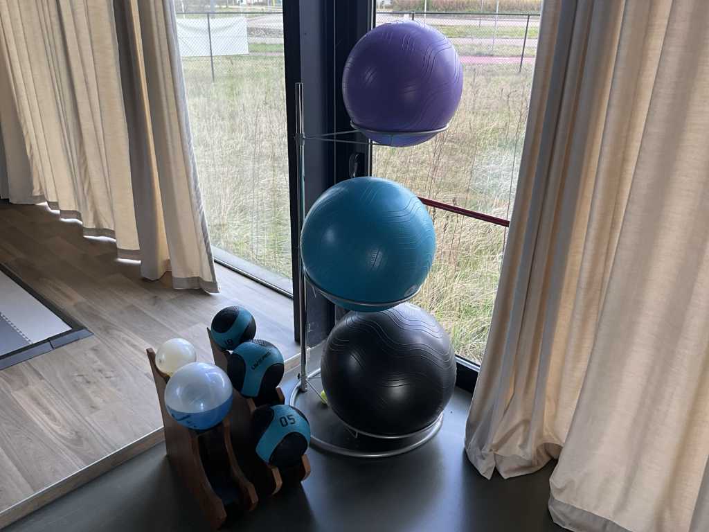 Divers ballons de yoga + ballons de rééducation LIV PRO