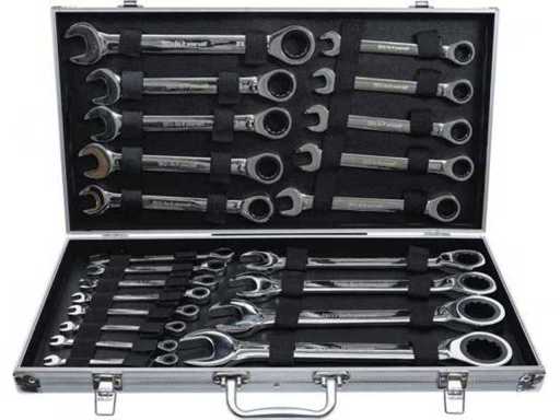 Pro Werkzeuge Spanner and ring wrench