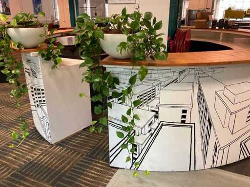 Plante hydroponique avec pot