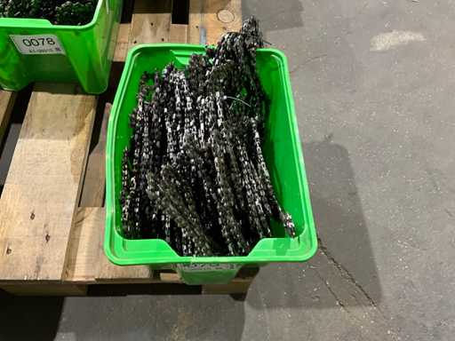 Lan?uri de fer?str?u cu lan?