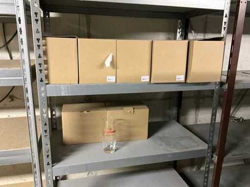 Gulpener bierglazen (72x)
