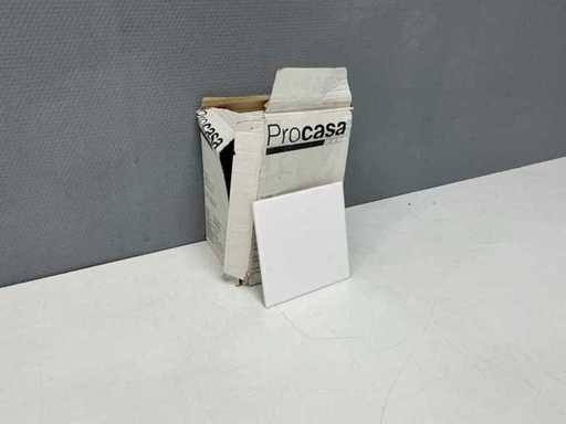 Procasa – Wandfliesen 0,8 m² 