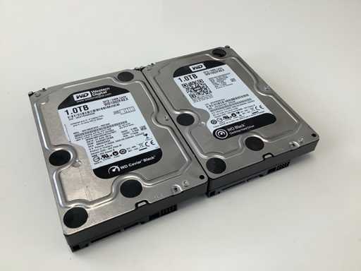 WD Black 1.0TB SATA Interne hardeschijf (2x)