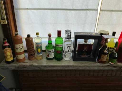 Diverse sterke drank (12x)