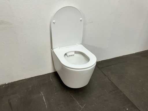 Toalet? suspendat? cu scaun de toalet?