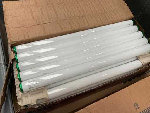 Philips F20T12/CW Leuchtstofflampe (330x)