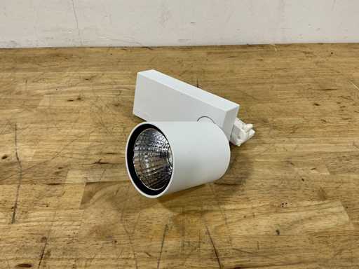 Oktalite - LED spots (10x)