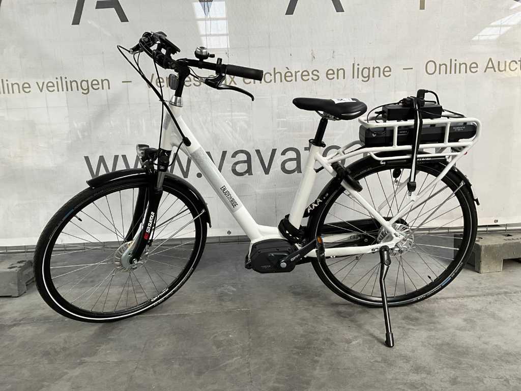 Elektrische damesfiets